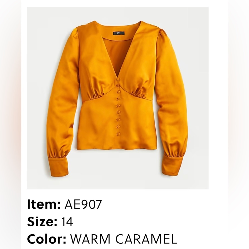 J Crew Cute caramel top New With Tag